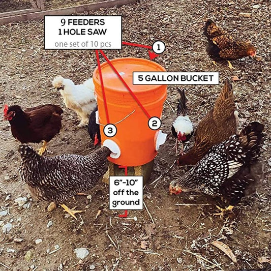 (2022 NEW)DIY Chicken Feeder (🔥promotion $9.99 Only Today!) - HANBUN